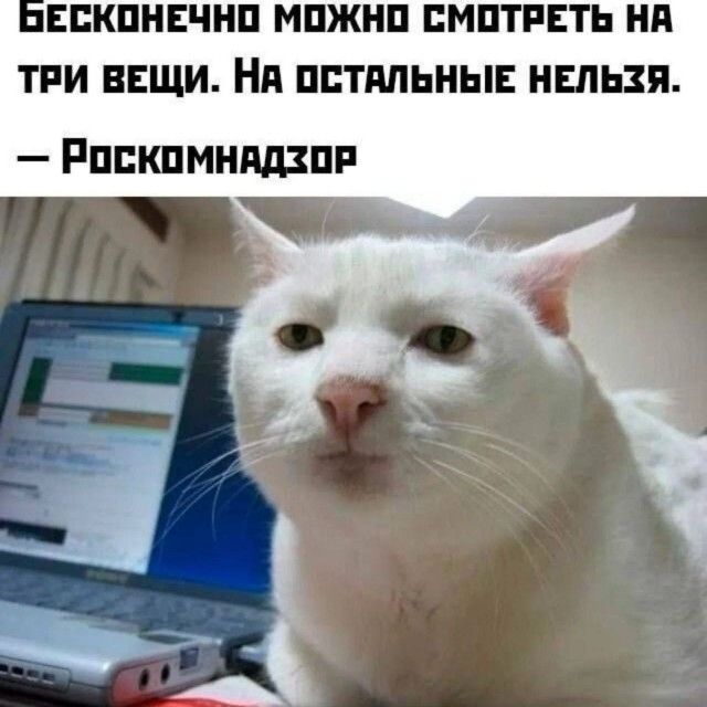 БЕСКОНЕЧНО МОЖНО СМОТРЕТЬ НА ТРИ ВЕЩИ. НА ОСТАЛЬНЫЕ НЕЛЬЗЯ. – Роскомнадзор