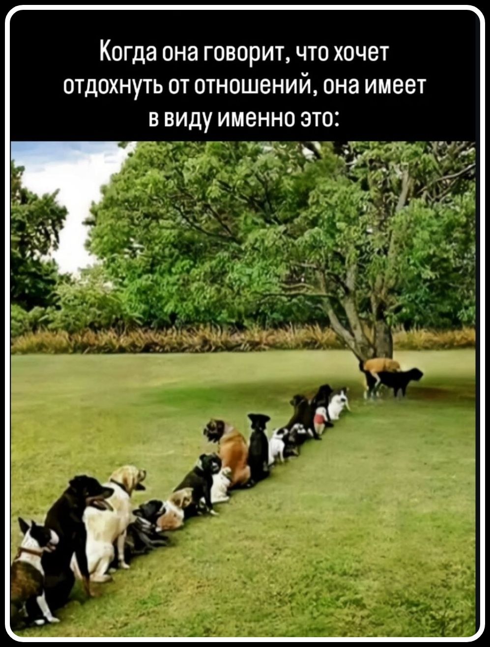 Когда она говорит, что хочет отдохнуть от отношений, она имеет в виду именно это: