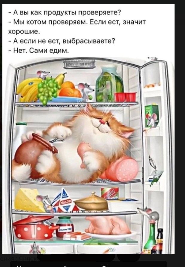 - А вы как продукты проверяете?
- Мы котом проверяем. Если ест, значит хорошие.
- А если не ест, выбрасываете?
- Нет. Сами едим.