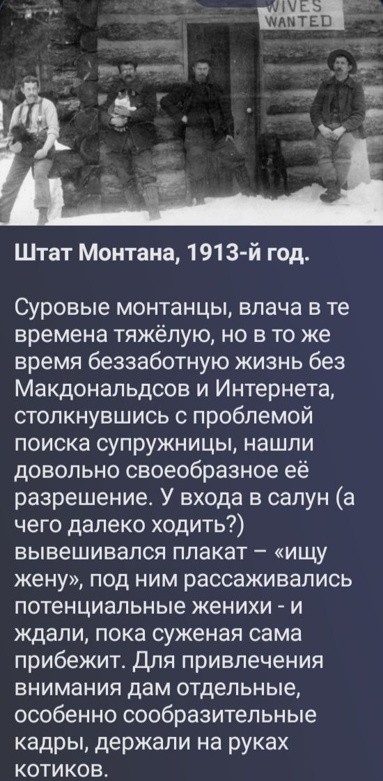 Штат Монтана, 1913-й год. WIVES WANTED. Суровые монтанцы, влача в те времена тяжёлую, но в то же время беззаботную жизнь без Макдональдсов и Интернета, столкнувшись с проблемой поиска супружницы, нашли довольно своеобразное её разрешение. У входа в салун (а чего далеко ходить?) вывешивался плакат – «ищу жену», под ним рассаживались потенциальные
