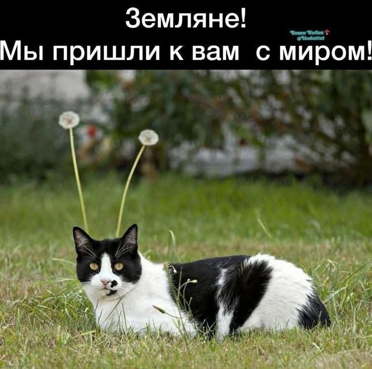 Земляне! Мы пришли к вам с миром!