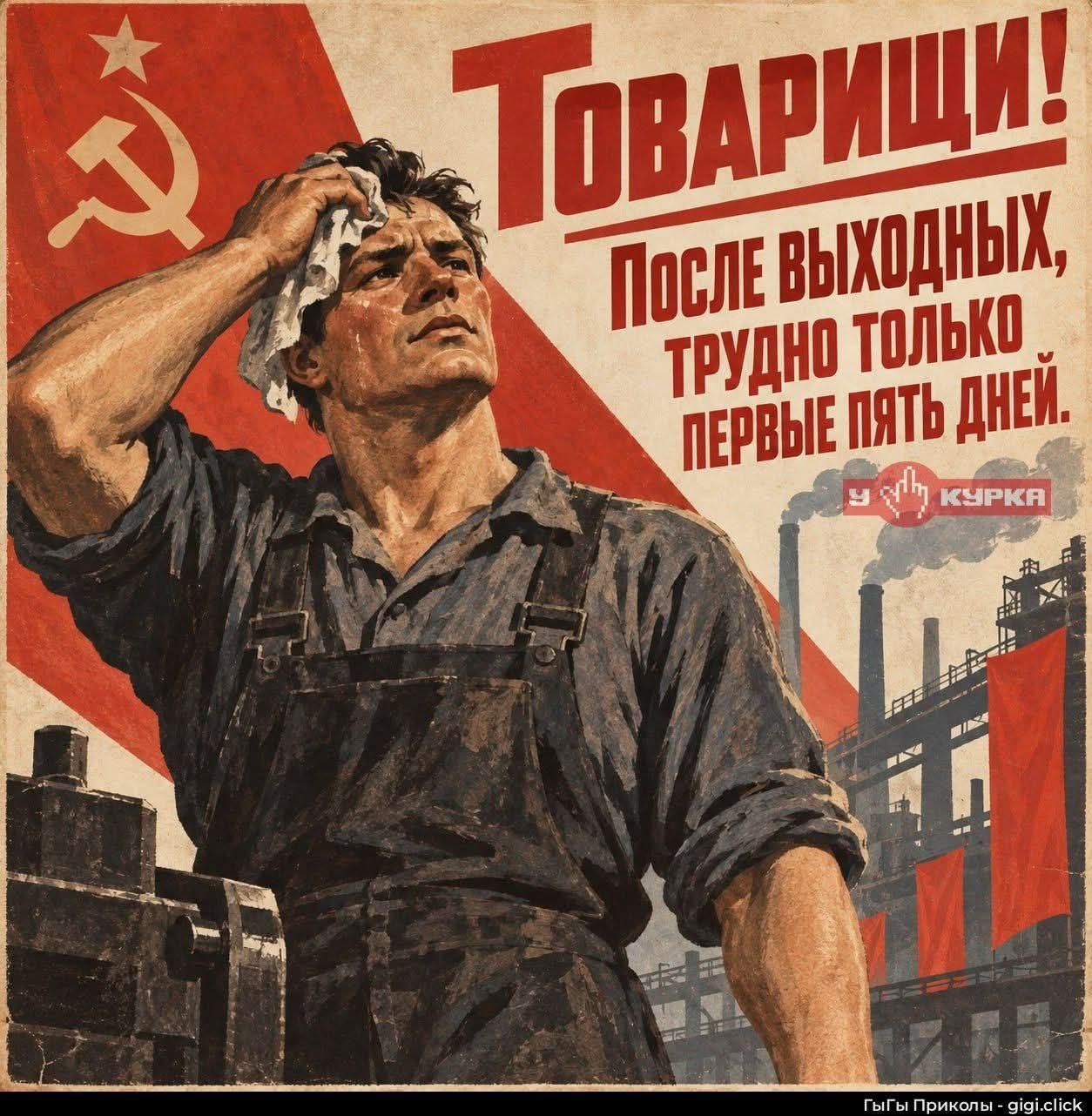 Товарищи! После выходных, трудно только первые пять дней. У Курка