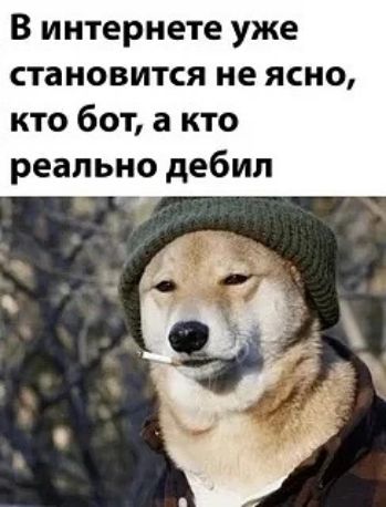 В интернете уже становится не ясно, кто бот, а кто реально дебил