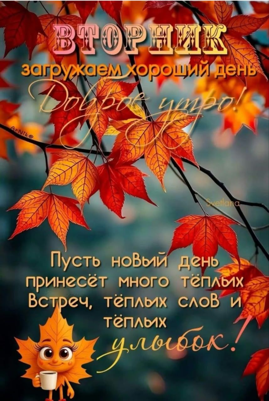 Вторник загружаем хороший день. Доброе утро! Пусть новый день принесёт много тёплых встреч, тёплых слов и тёплых улыбок!