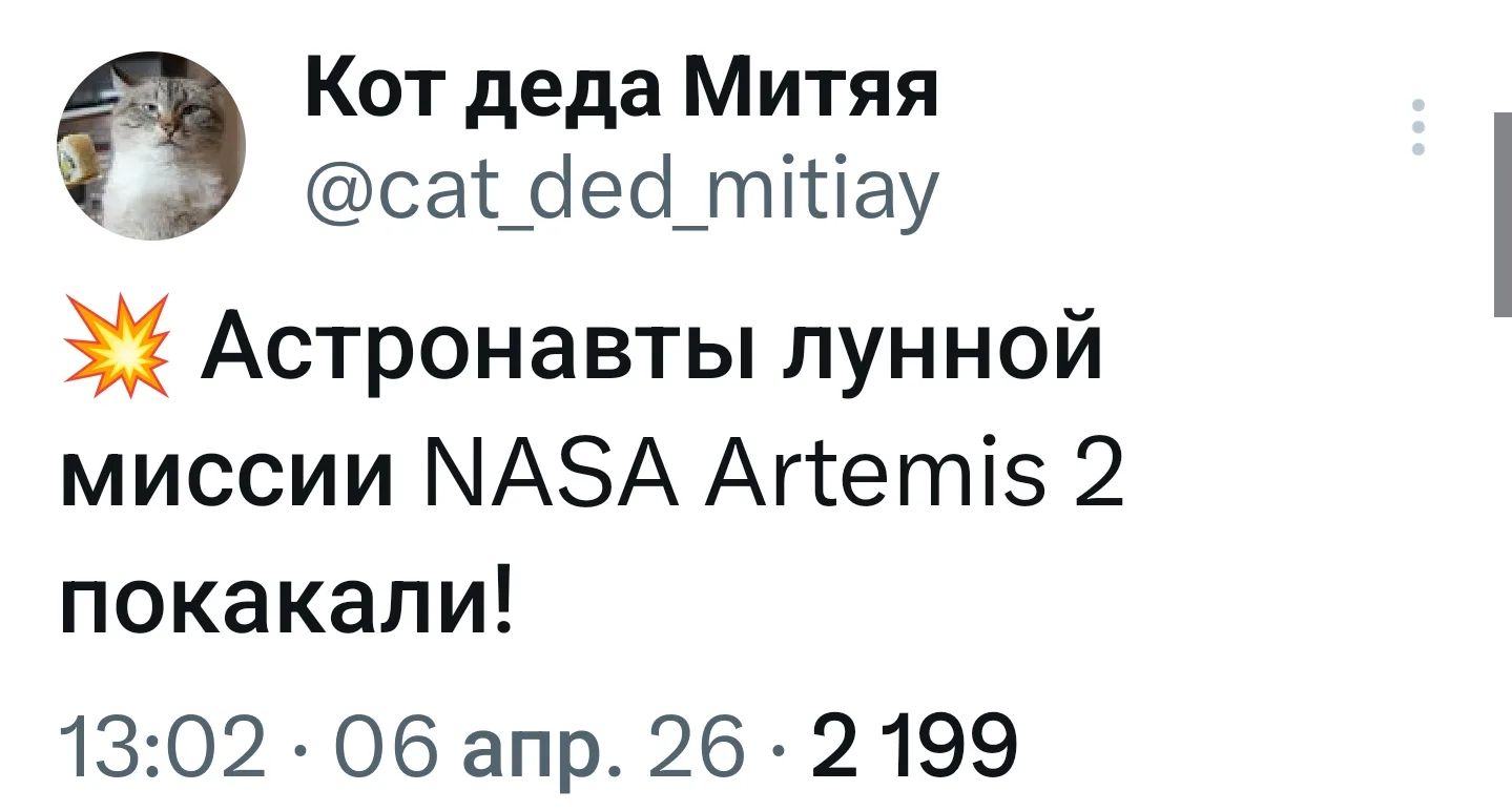 Кот деда Митяя @cat_ded_mitiay 💥 Астронавты лунной миссии NASA Artemis 2 покакали! 13:02 · 06 апр. 26 · 2 199