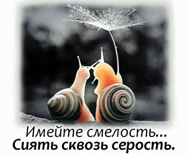 Имейте смелость... Сиять сквозь серость.
