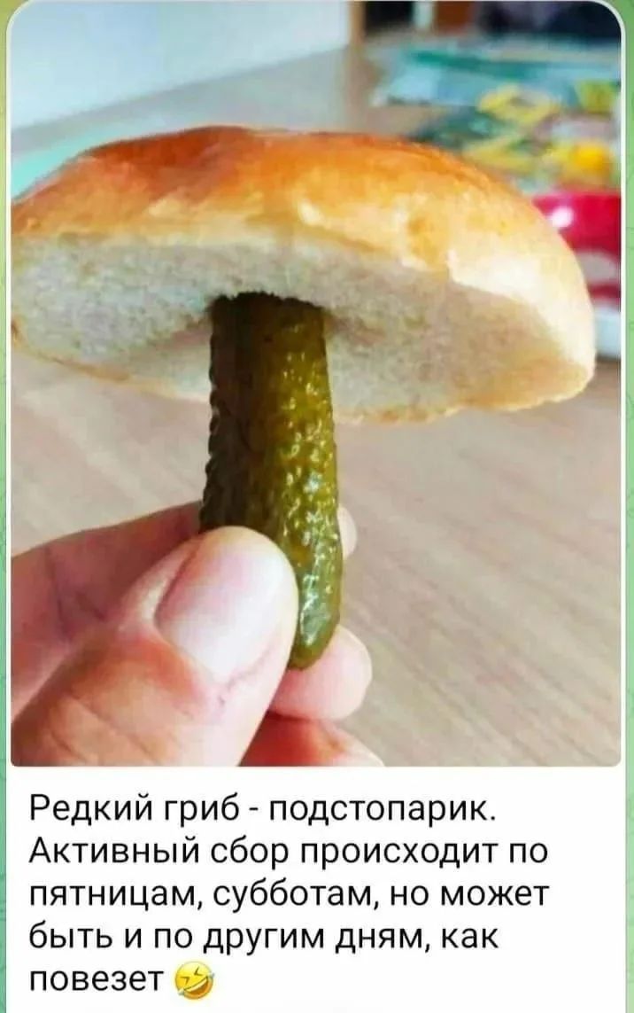 Редкий гриб - подстопарик. Активный сбор происходит по пятницам, субботам, но может быть и по другим дням, как повезет