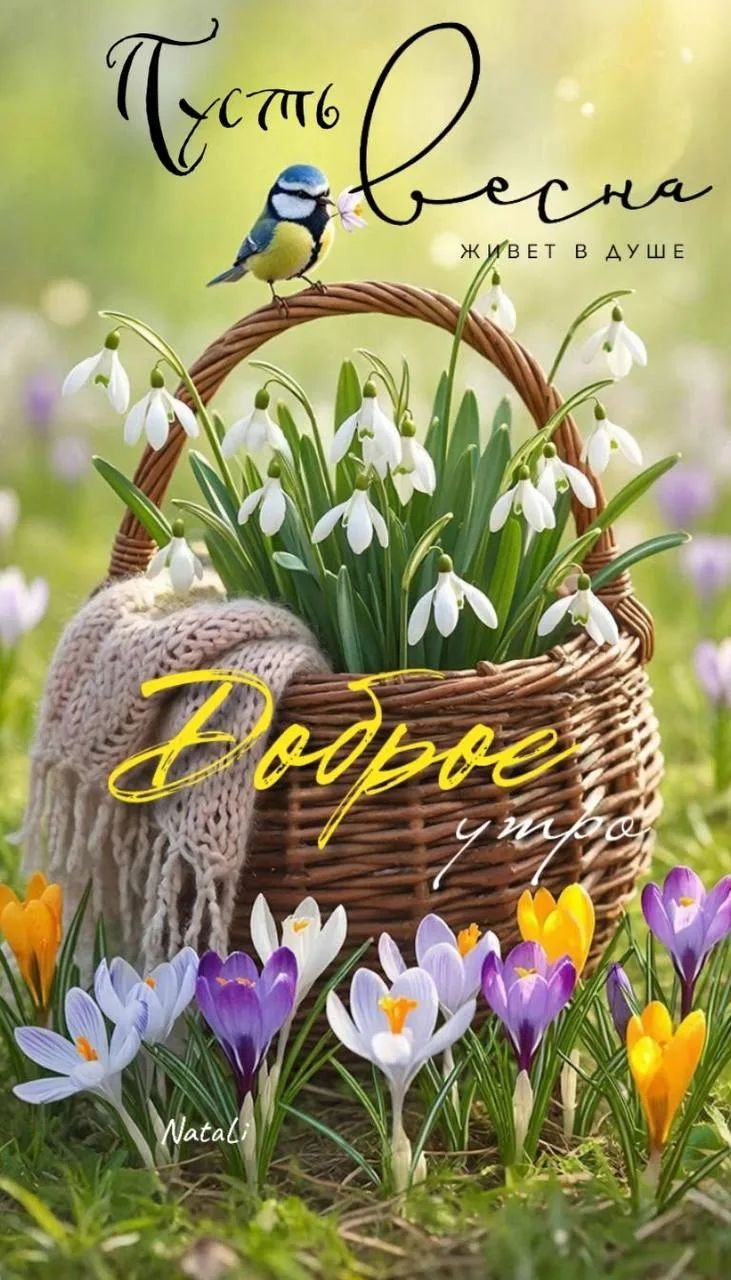Пусть весна живет в душе Доброе утро Natali