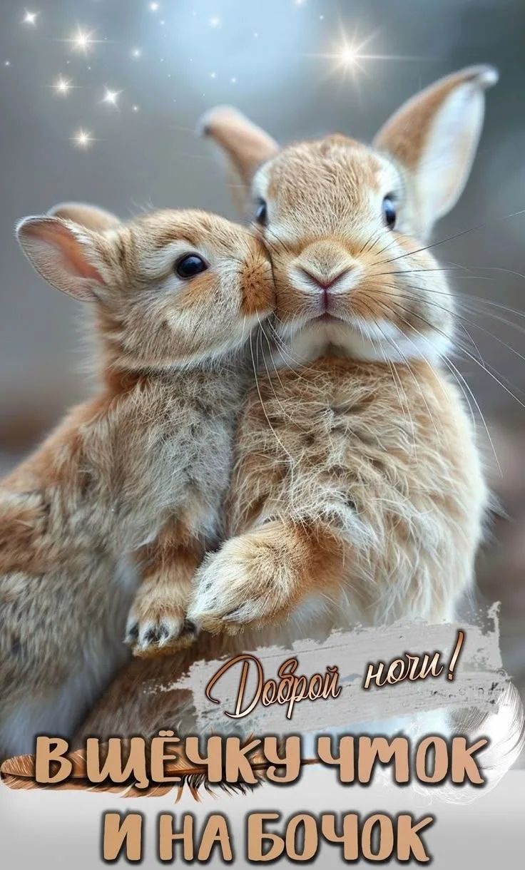 Доброй ночи! В щёчку чмок и на бочок