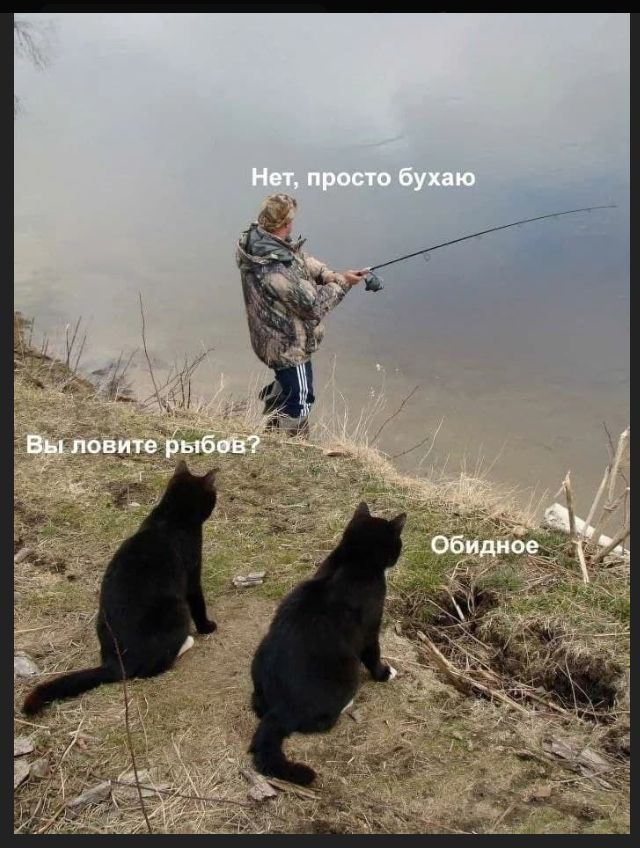 Вы ловите рыбов? Нет, просто бухаю. Обидное.