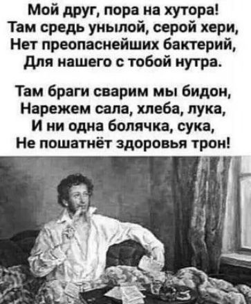 Мой друг, пора на хутора! Там средь унылой, серой хери, Нет преопаснейших бактерий, Для нашего с тобой нутра. Там браги сварим мы бидон, Нарежем сала, хлеба, лука, И ни одна болячка, сука, Не пошатнёт здоровья трон!