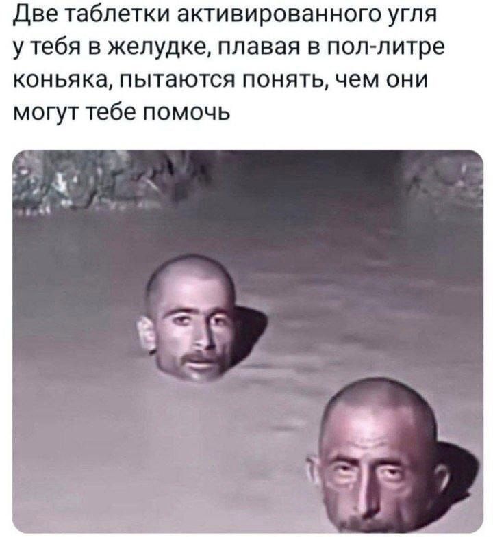 Две таблетки активированного угля у тебя в желудке, плавая в пол-литре коньяка, пытаются понять, чем они могут тебе помочь