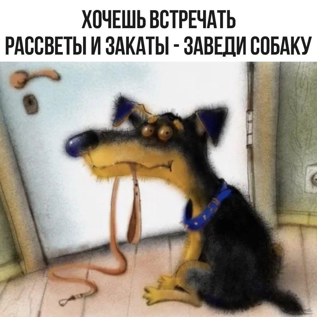 ХОЧЕШЬ ВСТРЕЧАТЬ РАССВЕТЫ И ЗАКАТЫ - ЗАВЕДИ СОБАКУ