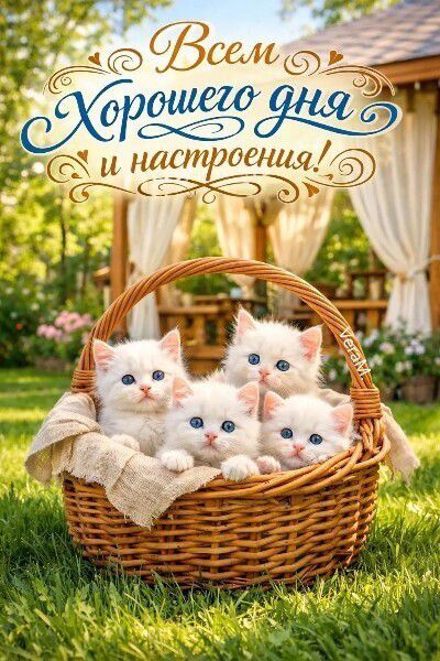Всем Хорошего дня и настроения!