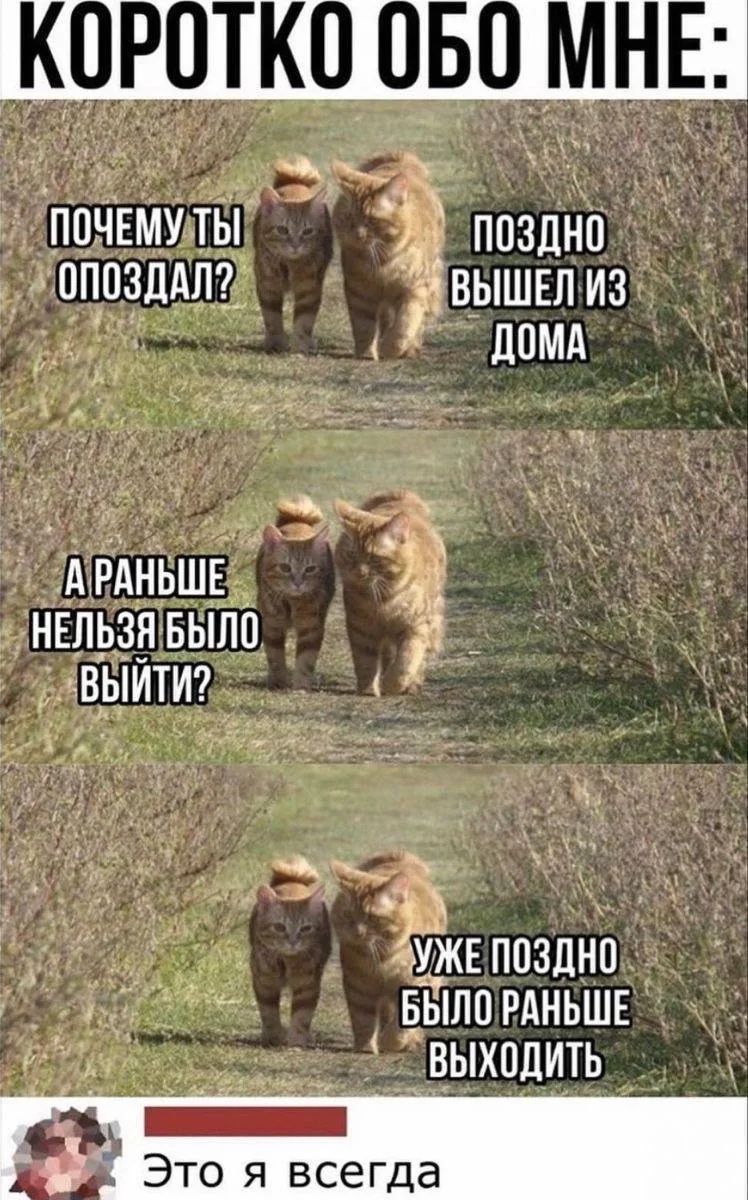 КОРОТКО ОБО МНЕ: ПОЧЕМУ ТЫ ОПОЗДАЛ? ПОЗДНО ВЫШЕЛ ИЗ ДОМА А РАНЬШЕ НЕЛЬЗЯ БЫЛО ВЫЙТИ? УЖЕ ПОЗДНО БЫЛО РАНЬШЕ ВЫХОДИТЬ Это я всегда