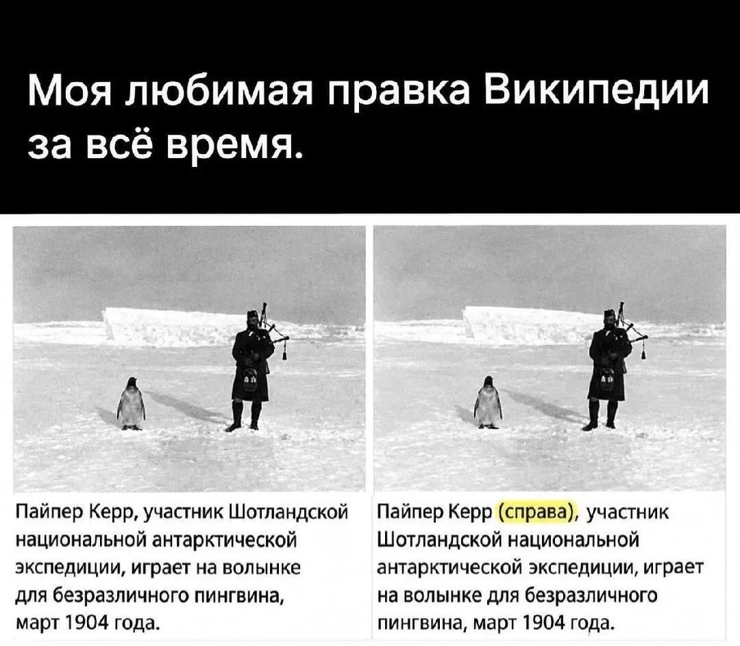 Моя любимая правка Википедии за всё время. Пайпер Керр, участник Шотландской национальной антарктической экспедиции, играет на волынке для безразличного пингвина, март 1904 года. Пайпер Керр (справа), участник Шотландской национальной антарктической экспедиции, играет на волынке для безразличного пингвина, март 1904 года.