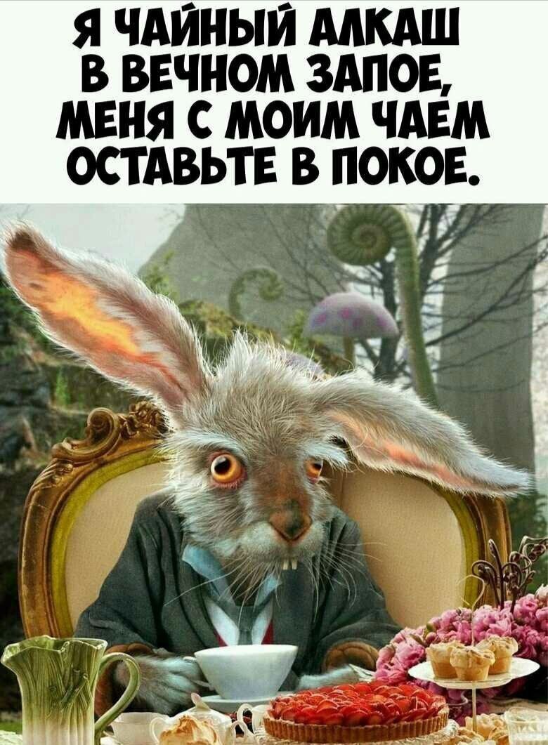 Я ЧАЙНЫЙ АЛКАШ В ВЕЧНОМ ЗАПОЕ, МЕНЯ С МОИМ ЧАЕМ ОСТАВЬТЕ В ПОКОЕ.