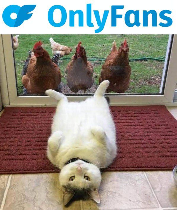 OnlyFans