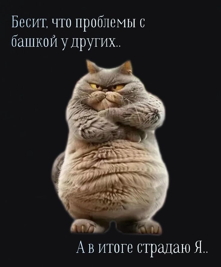 Бесит, что проблемы с башкой у других.. А в итоге страдаю Я..