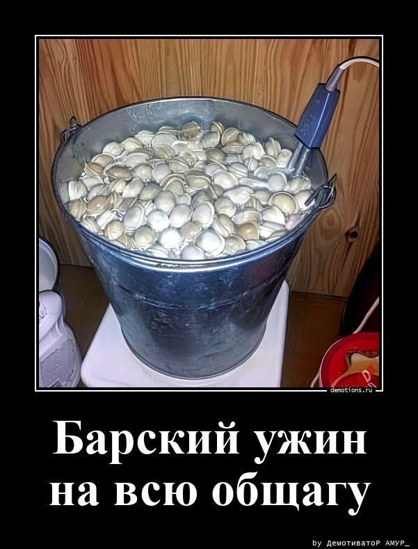 Барский ужин на всю общагу. На изображении показано металлическое ведро, наполненное пельменями, которые готовятся с помощью погружного кипятильника.