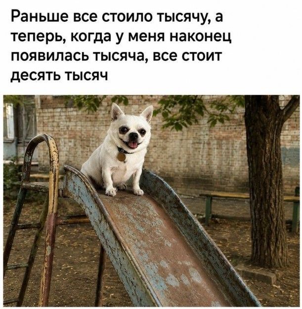 Раньше все стоило тысячу, а теперь, когда у меня наконец появилась тысяча, все стоит десять тысяч