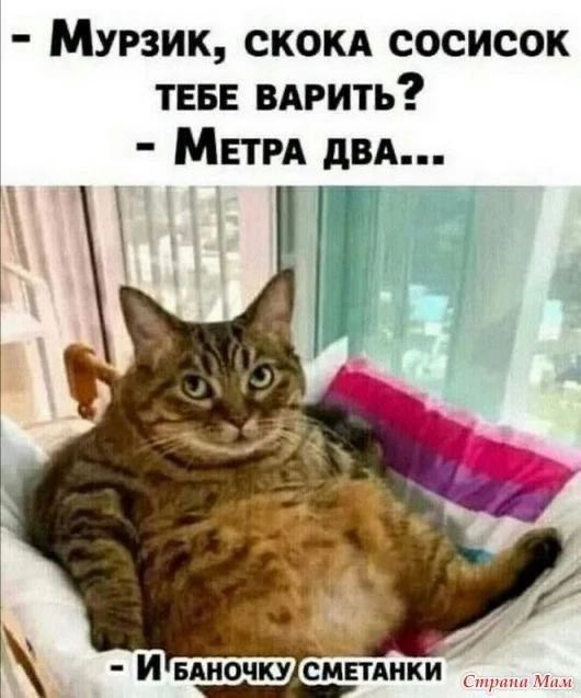 - Мурзик, скока сосисок тебе варить?
- Метра два...
- И баночку сметанки