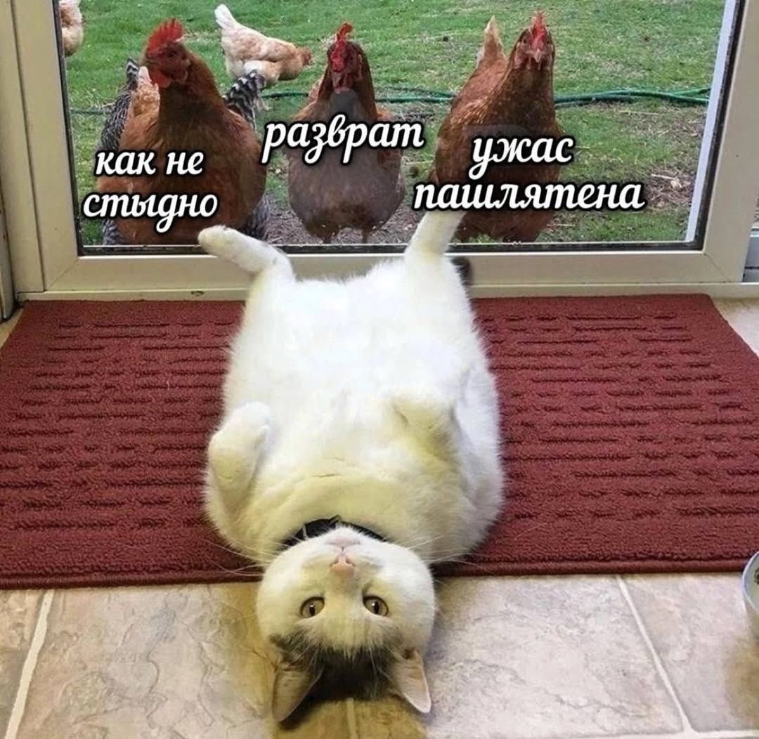 как не стыдно разврат ужас пошлятина