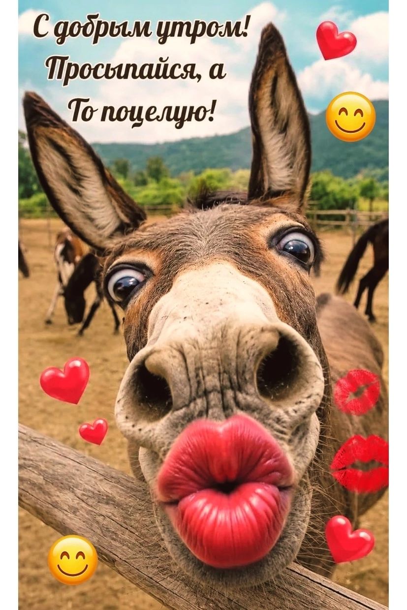 С добрым утром! Просыпайся, а то поцелую!