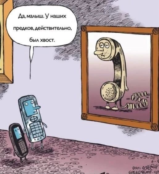 Да, малыш. У наших предков, действительно, был хвост.