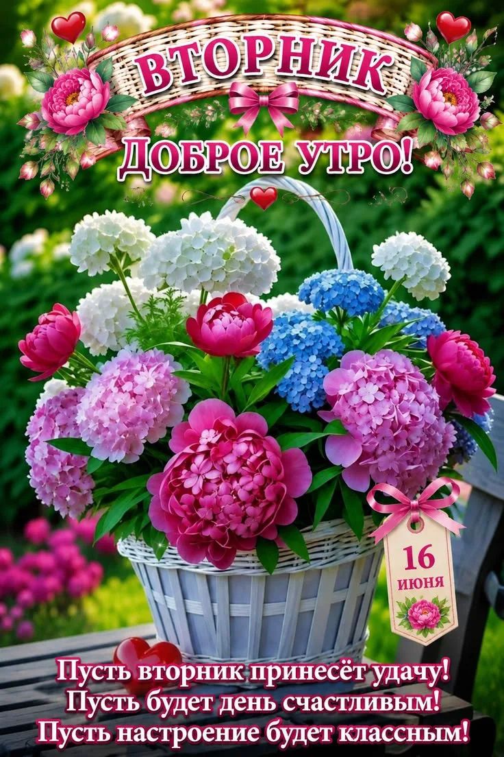 ВТОРНИК ДОБРОЕ УТРО! 16 ИЮНЯ Пусть вторник принесёт удачу! Пусть будет день счастливым! Пусть настроение будет классным!