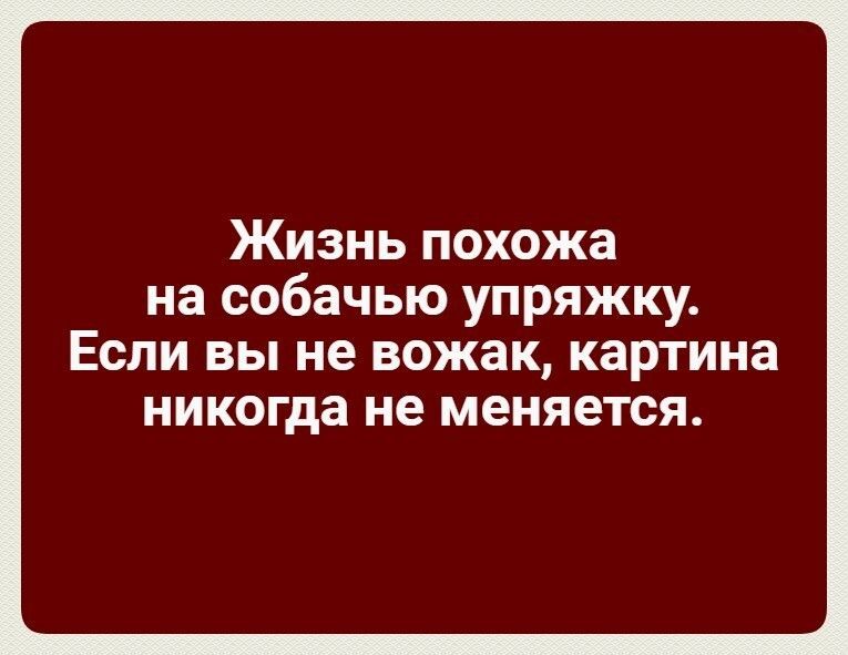 Жизнь похожа на собачью упряжку. Если вы не вожак, картина никогда не меняется.