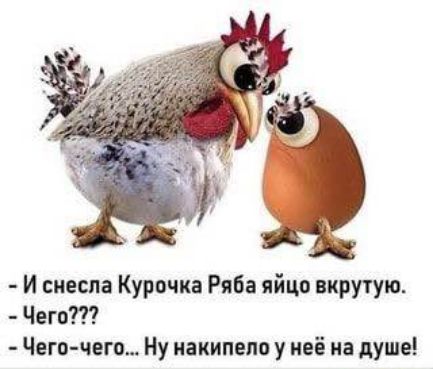 - И снесла Курочка Ряба яйцо вкрутую.
- Чего???
- Чего-чего... Ну накипело у неё на душе!
