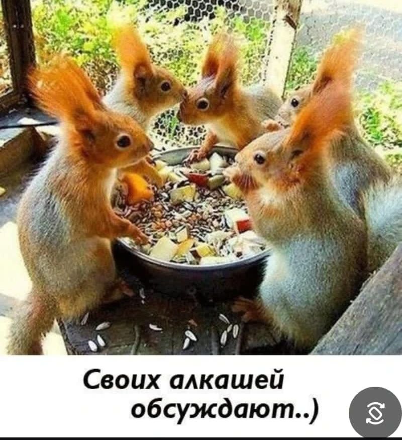 Своих алкашей обсуждают..)