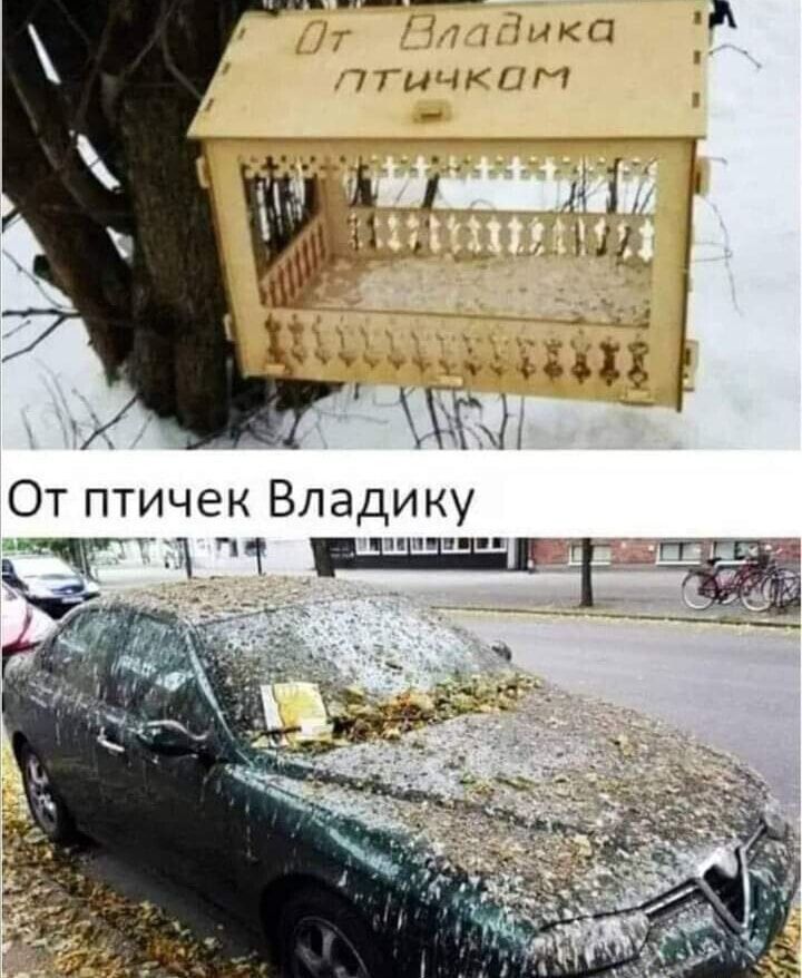 От Владика птичкам. От птичек Владику