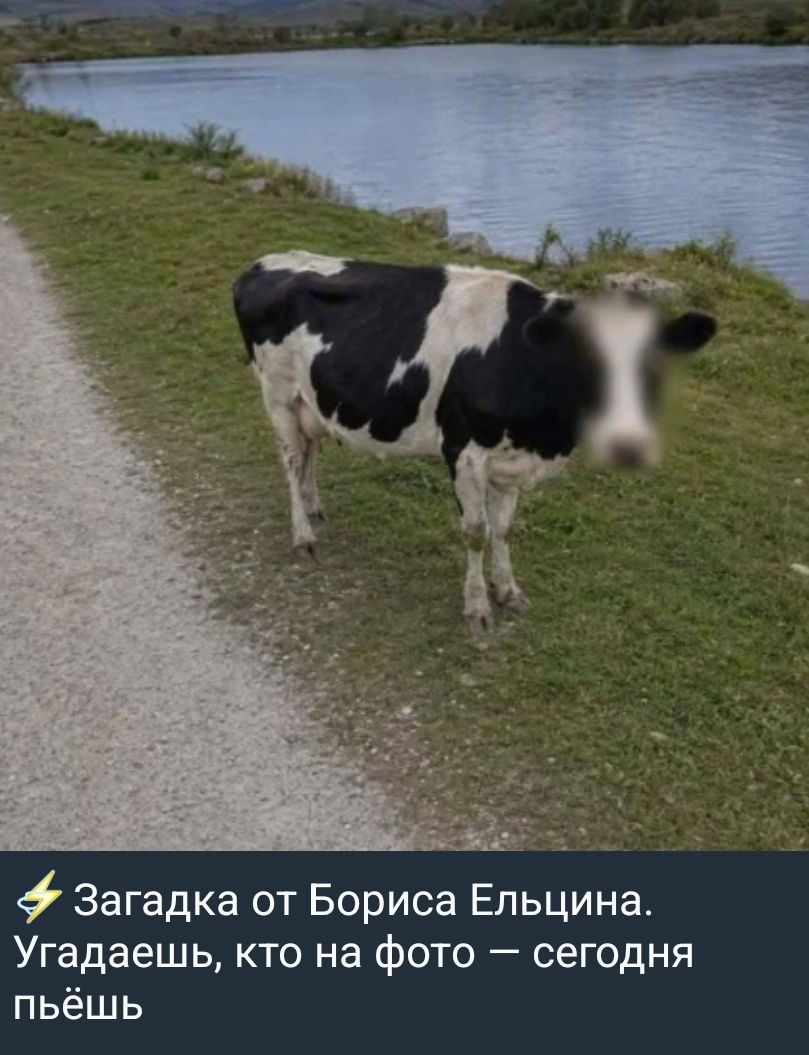 Загадка от Бориса Ельцина. Угадаешь, кто на фото — сегодня пьёшь