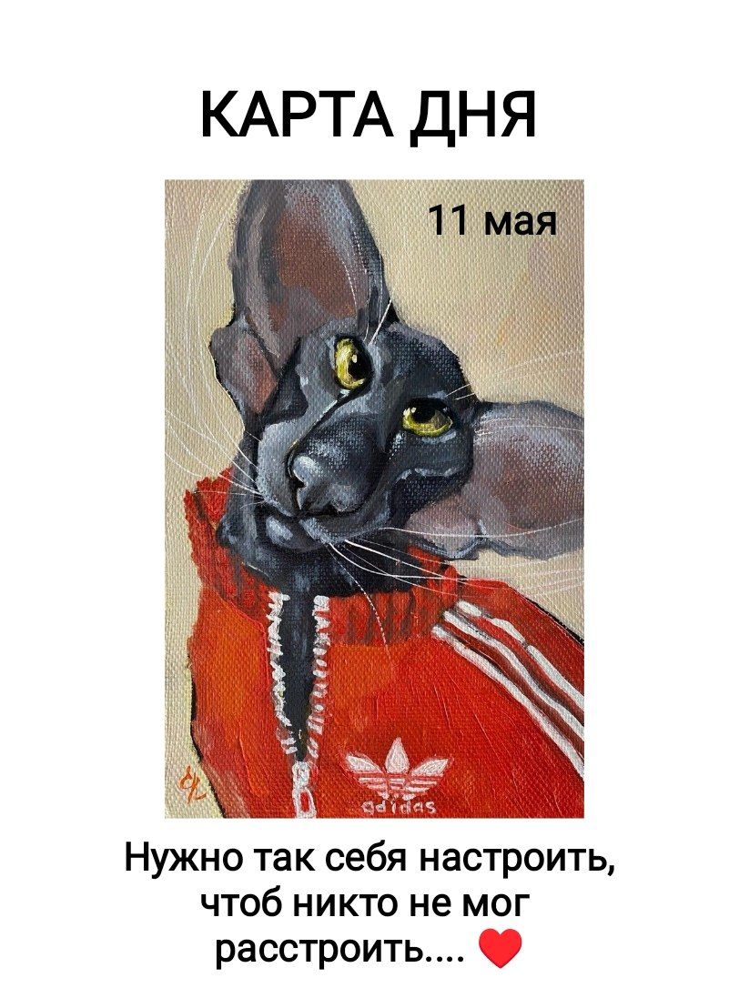 КАРТА ДНЯ 11 мая Нужно так себя настроить, чтоб никто не мог расстроить.... adidas