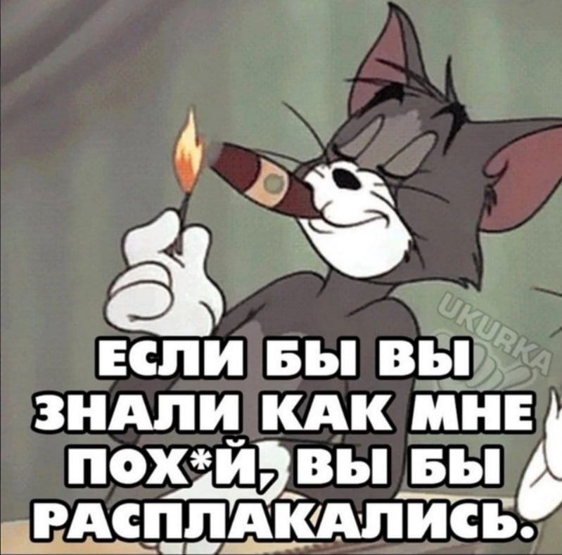 ЕСЛИ БЫ ВЫ ЗНАЛИ КАК МНЕ ПОХ*Й, ВЫ БЫ РАСПЛАКАЛИСЬ.