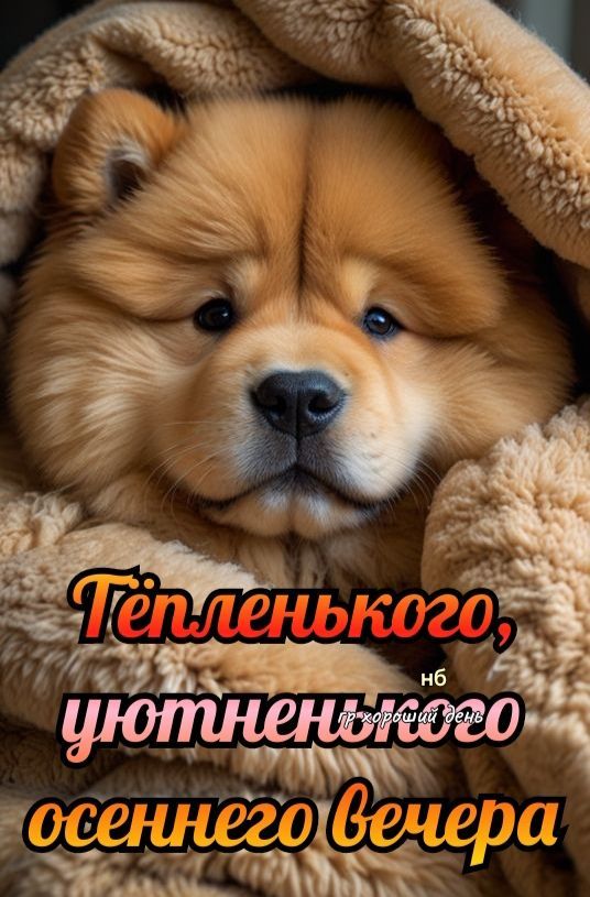 Тёпленького, уютненького осеннего вечера