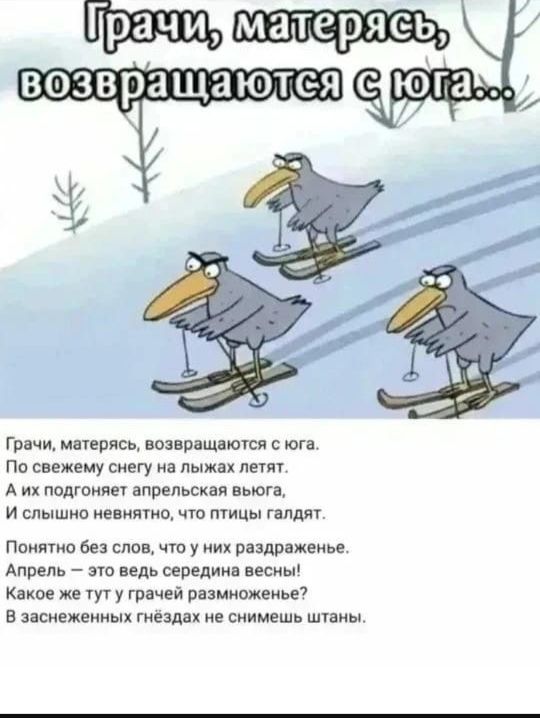 Грачи, матерясь, возвращаются с юга...
Грачи, матерясь, возвращаются с юга.
По свежему снегу на лыжах летят.
А их подгоняет апрельская вьюга,
И слышно невнятно, что птицы галдят.
Понятно без слов, что у них раздраженье.
Апрель — это ведь середина весны!
Какое же тут у грачей размноженье?
В заснеженных гнёздах не снимешь штаны.