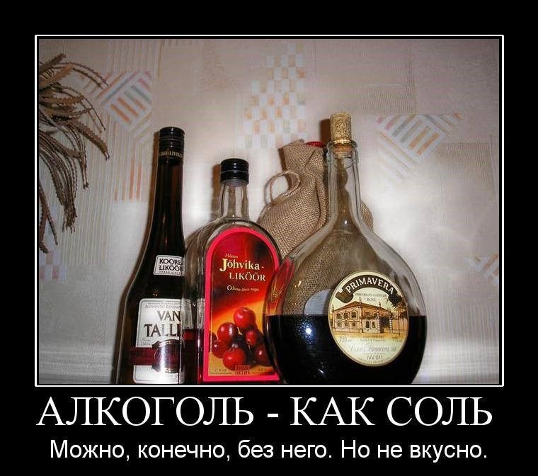 АЛКОГОЛЬ - КАК СОЛЬ Можно, конечно, без него. Но не вкусно.