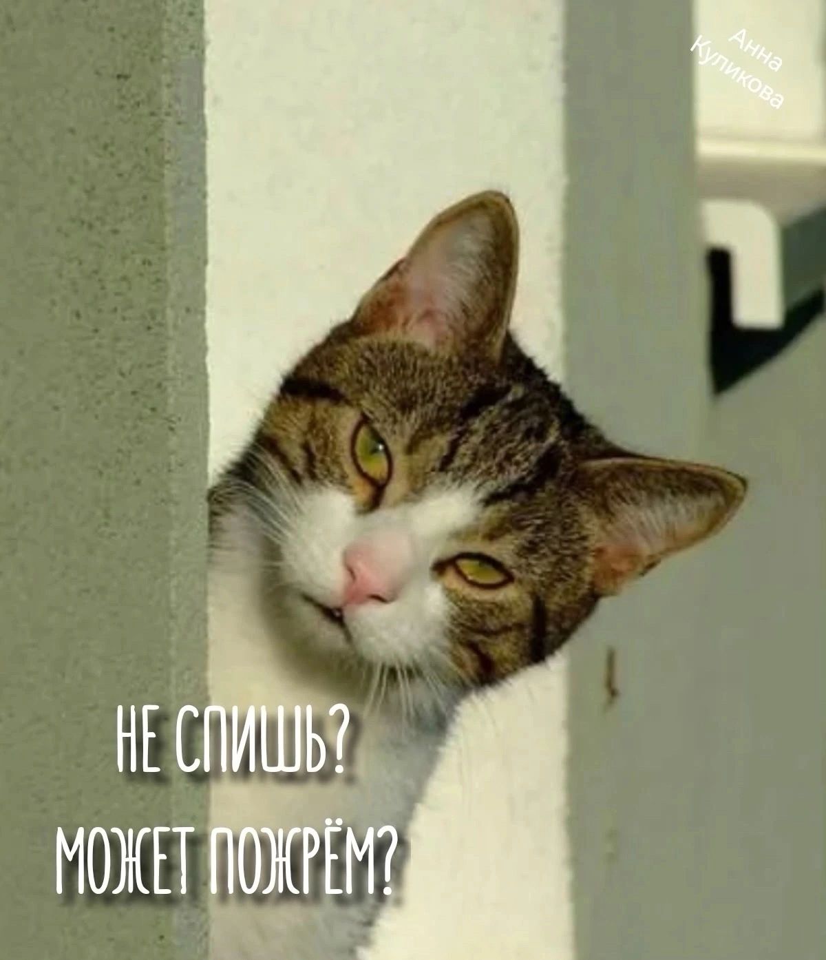 НЕ СПИШЬ? МОЖЕТ ПОЖРЁМ?