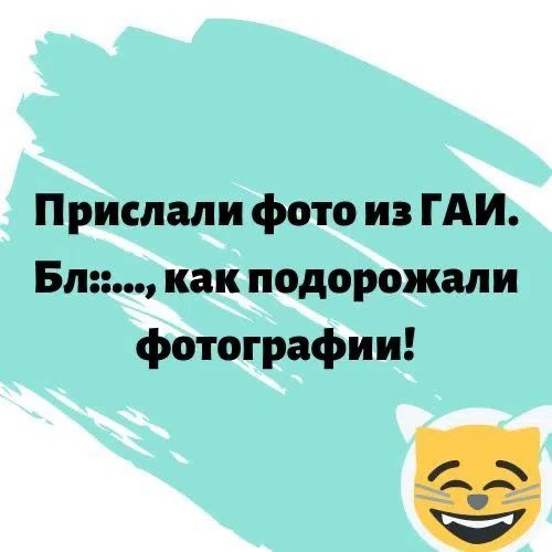 Прислали фото из ГАИ. Бл::..., как подорожали фотографии!