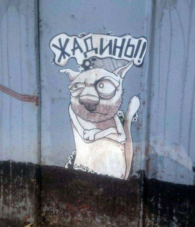 ЖАДИНЫ!!