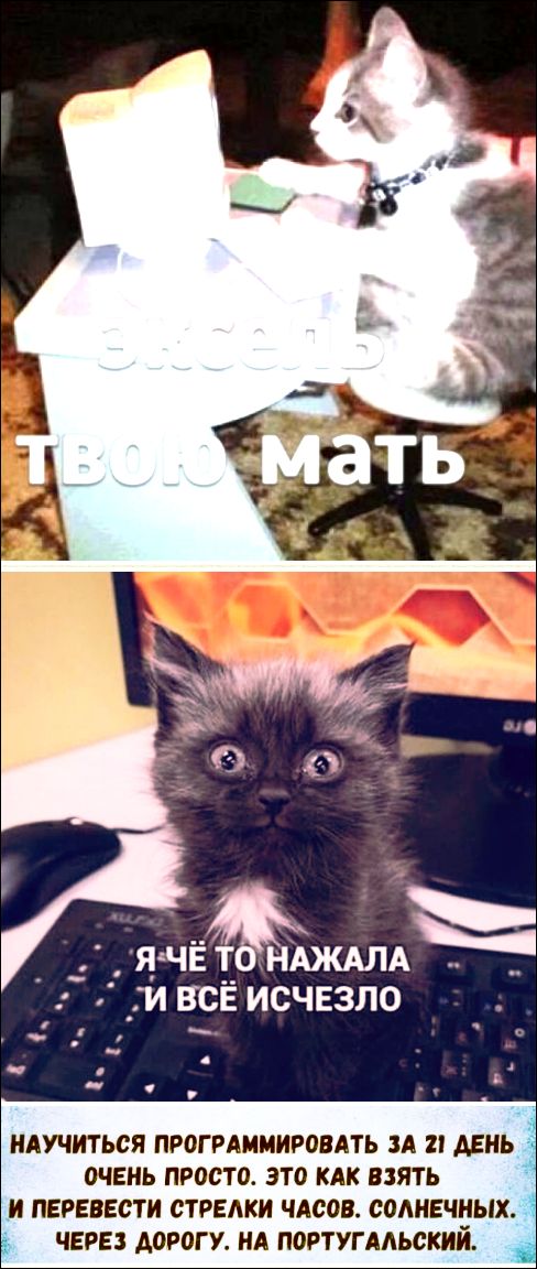 заседь твою мать Я ЧЁ ТО НАЖАЛА И ВСЁ ИСЧЕЗЛО НАУЧИТЬСЯ ПРОГРАММИРОВАТЬ ЗА 21 ДЕНЬ ОЧЕНЬ ПРОСТО. ЭТО КАК ВЗЯТЬ И ПЕРЕВЕСТИ СТРЕЛКИ ЧАСОВ. СОЛНЕЧНЫХ. ЧЕРЕЗ ДОРОГУ. НА ПОРТУГАЛЬСКИЙ.