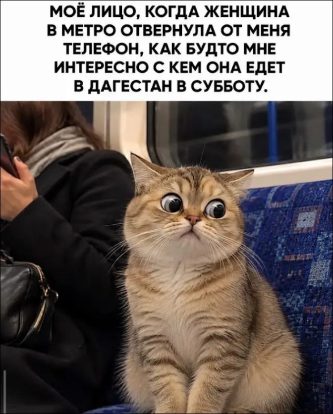 МОЁ ЛИЦО, КОГДА ЖЕНЩИНА В МЕТРО ОТВЕРНУЛА ОТ МЕНЯ ТЕЛЕФОН, КАК БУДТО МНЕ ИНТЕРЕСНО С КЕМ ОНА ЕДЕТ В ДАГЕСТАН В СУББОТУ.