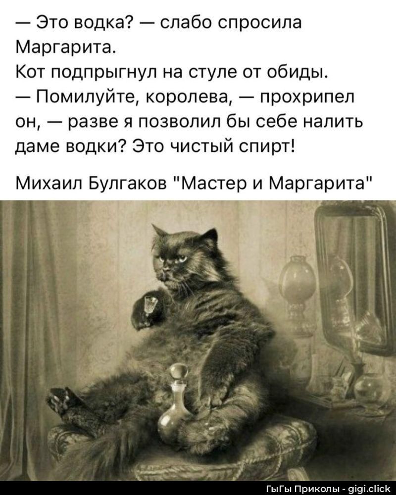 — Это водка? — слабо спросила Маргарита. Кот подпрыгнул на стуле от обиды. — Помилуйте, королева, — прохрипел он, — разве я позволил бы себе налить даме водки? Это чистый спирт! Михаил Булгаков 