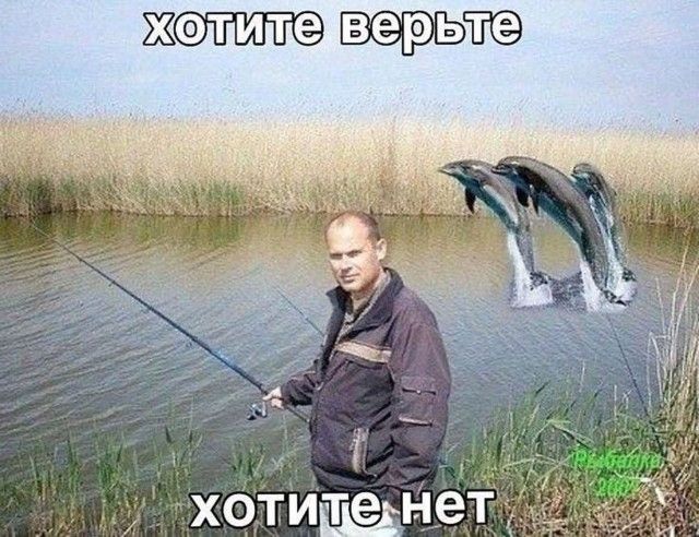 хотите верьте хотите нет