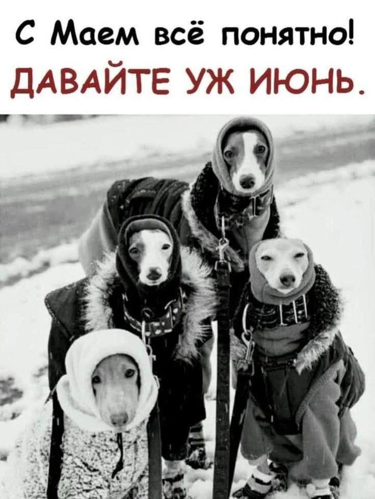 С Маем всё понятно! ДАВАЙТЕ УЖ ИЮНЬ.