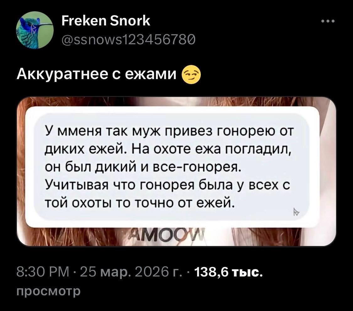 Freken Snork @ssnows123456780 Аккуратнее с ежами 😏 У меня так муж привез гонорею от диких ежей. На охоте ежа погладил, он был дикий и все-гонорея. Учитывая что гонорея была у всех с той охоты то точно от ежей. 8:30 PM · 25 мар. 2026 г. · 138,6 тыс. просмотр