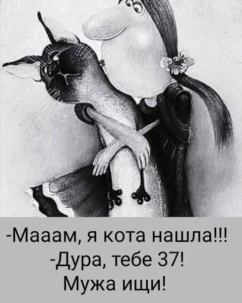 Мааам, я кота нашла!!! Дура, тебе 37! Мужа ищи!